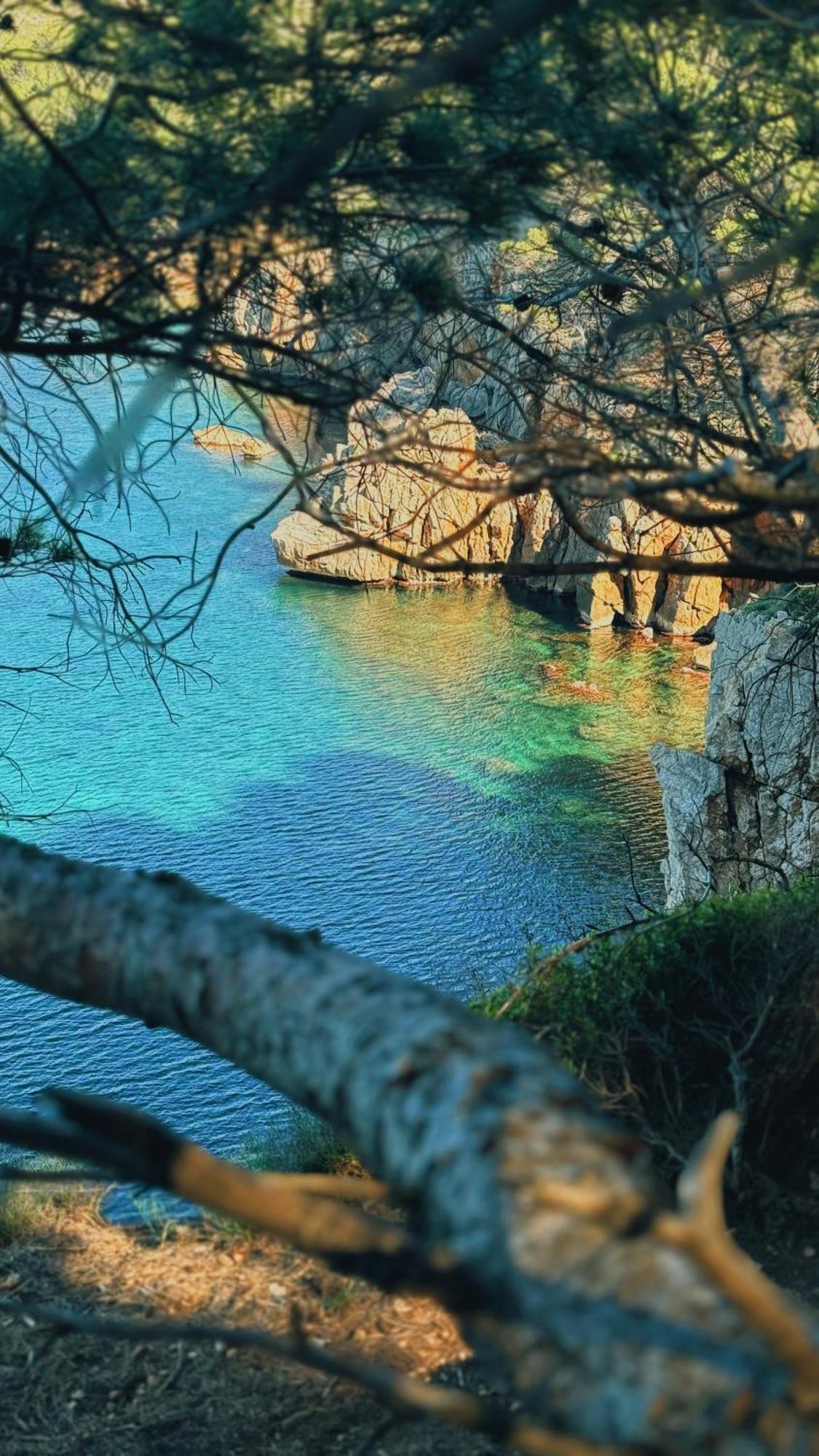 Romy T1 C - A 80m De La De Cala Montgo Appartement